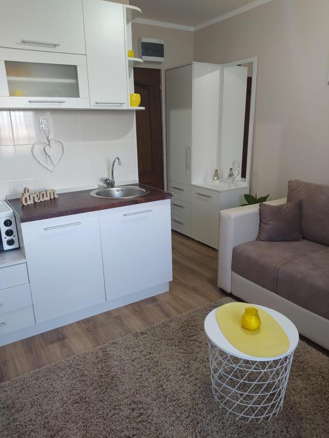 Vila Jezero Bajina Basta Zewnętrze zdjęcie